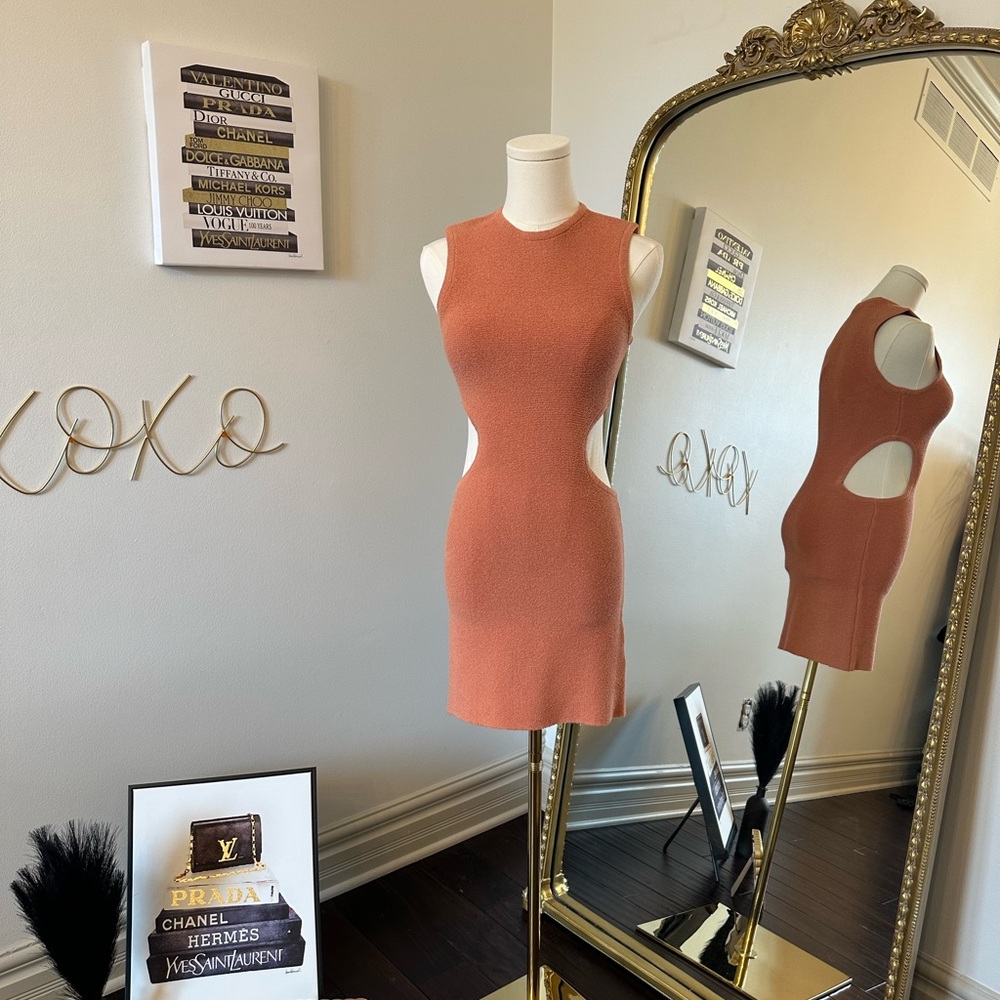 Sexy yet Elegant Sleeveless Cutout Dress in terracotta